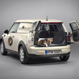 Mini Clubvan as Two-Seat Delivery Van with 3 Engine Options