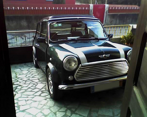 Mini