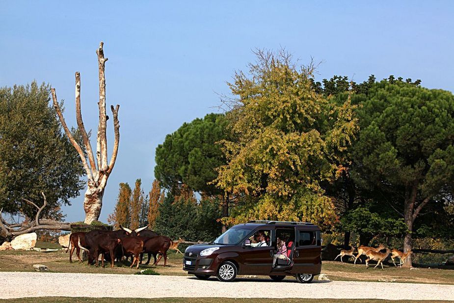 Fiat Doblò Cargo Maxi 1.6 Multijet 105hp Basic