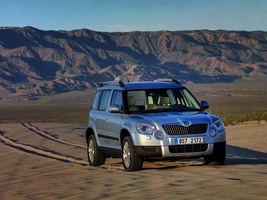 Skoda Yeti 2.0 TDI CR 110cv Active 4x4