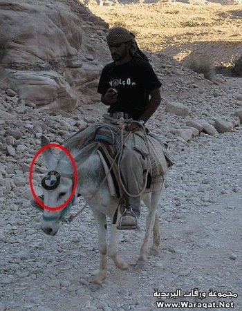 The latest BMW! 4 wheel traction and very frugal!