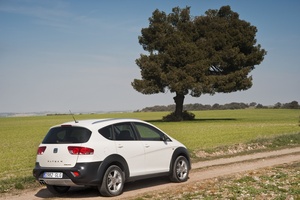 Seat Altea Freetrack 2.0 TDI DPF (09)