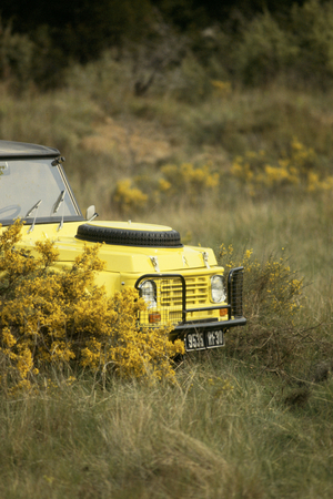 Citroën Mehari 4x4