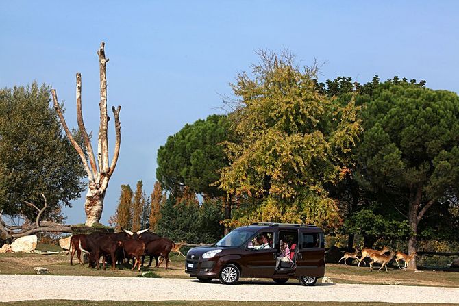 Fiat Doblò Cargo 1.3 Multijet Easy