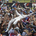 Esta foi a terceira vitória consecutiva de Hamilton em Silverstone