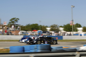 Lola B12/80 COUPE Lotus