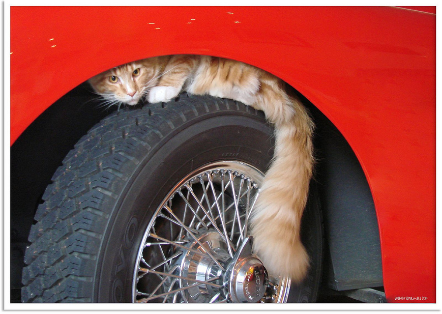 Checking the tyre pressure