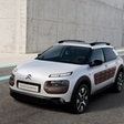 C4 Cactus