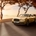 Continental Flying Spur W12