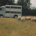 Rovin Motocar vs Triumph Herald Saloon vs BMW 535d Gran Turismo SE vs Mercedes-Benz Viano Fun 3.5 Automatic vs Tatra NW Type E vs Citroën Type H Betaillere