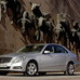 Chevrolet Aveo5 vs Mercedes-Benz E 250 CGI BlueEfficiency Auto vs Peugeot 5008 Premium 1.6 vs Toyota Verso 1.6 Enegy