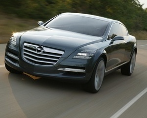 Insignia concept